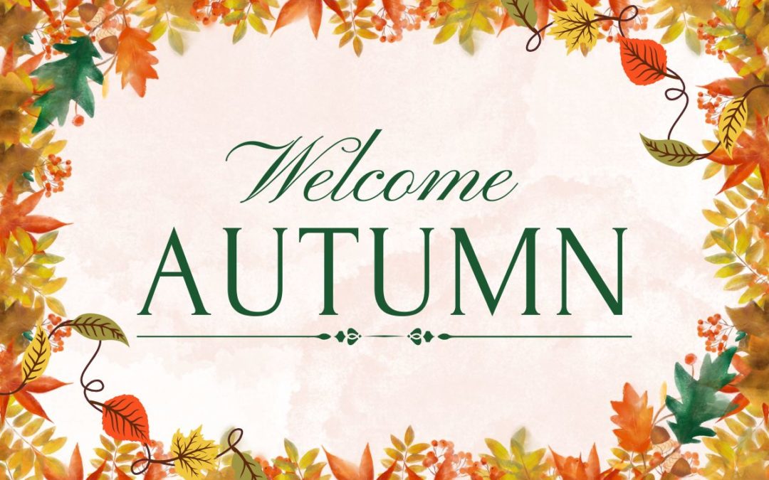 Hallo Herbst!